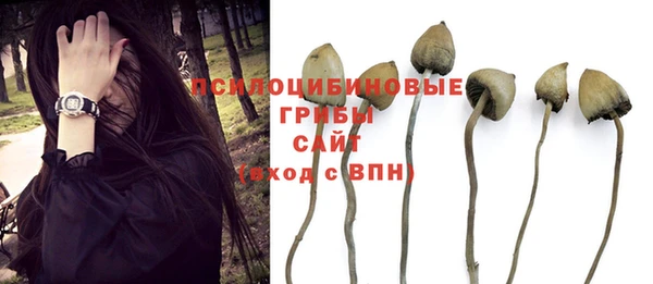 мефедрон Гусиноозёрск