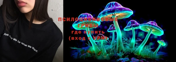 прущий лед Гусев