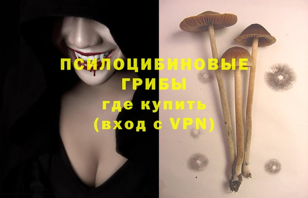 ALPHA PVP Дмитровск