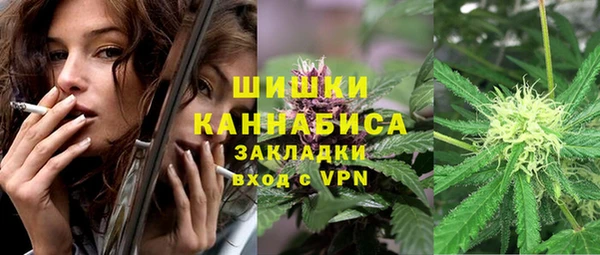 СК Дмитров