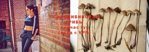ALPHA PVP Дмитровск