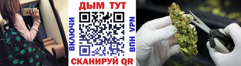 Конопля конопля  Купино 